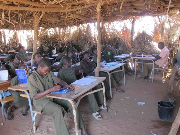 senegal palmwedelklasse