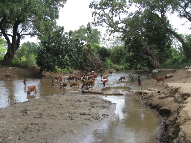 seisofreiÄthiopien3